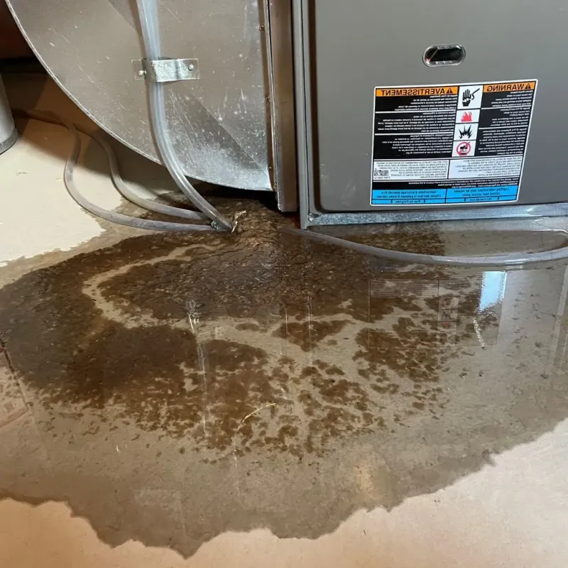 Pipe Burst and Leak Restoration in Hibbing, MN